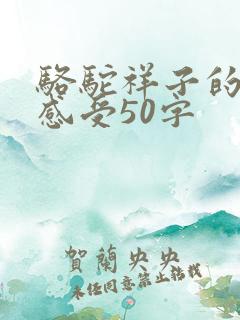 骆驼祥子的读后感受50字