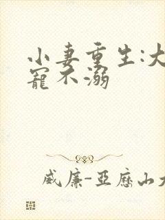 小妻重生:大佬宠不溺