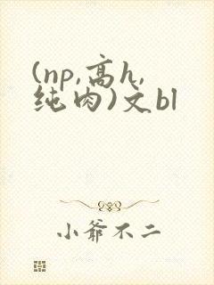 (np,高h,纯肉)文bl