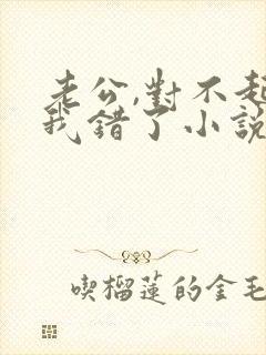 老公,对不起,我错了小说全文阅读