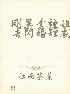 刚毕业被姐姐拉去闪婚短剧女主角