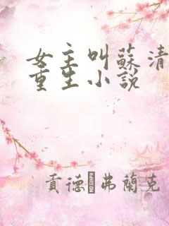女主叫苏清婉的重生小说