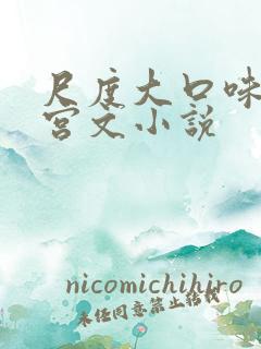 尺度大口味重后宫文小说