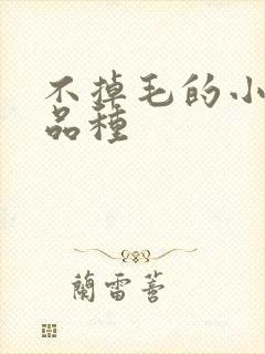 不掉毛的小猫咪品种