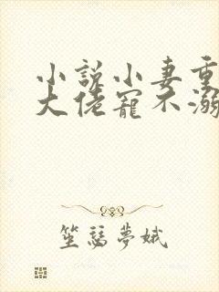 小说小妻重生:大佬宠不溺