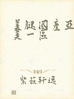 美腿国产亚洲欧美一区