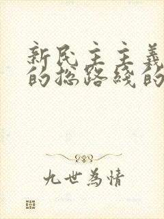 新民主主义革命的总路线的核心