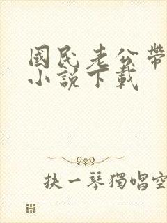 国民老公带回家小说下载