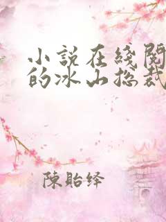 小说在线阅读我的冰山总裁老婆