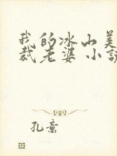 我的冰山美女总裁老婆 小说