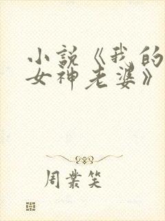 小说《我的绝美女神老婆》