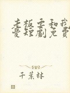 老板要和我谈恋爱短剧免费观看