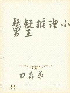 悬疑推理小说双男主