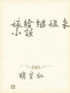 嫁给继姐未婚夫小说