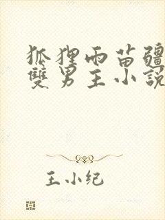 狐狸雨苗疆圣子双男主小说