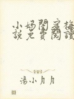 小妈闺蜜梅姨小说免费阅读