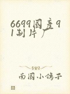 6699国产91制片厂