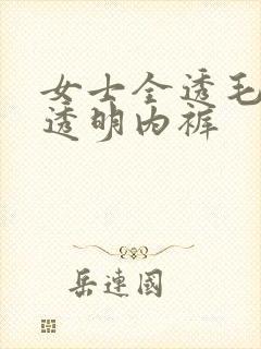 女士全透毛三角透明内裤