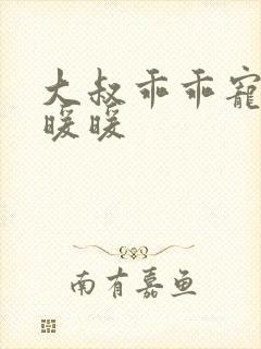 大叔乖乖宠我苏暖暖