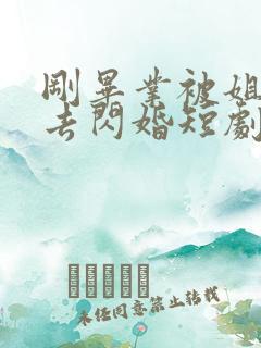 刚毕业被姐姐拉去闪婚短剧全集