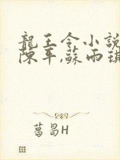 龙王令小说免费陈平,苏雨琪