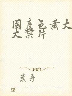 国产色黄大片十大禁片