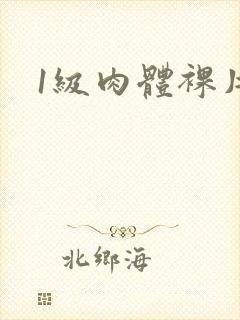 1级肉体裸片.