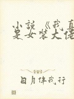 小说 《我真不是女装大佬》