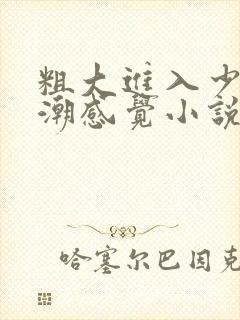 粗大进入少妇高潮感觉小说