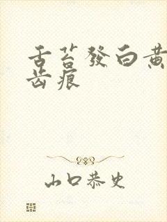 舌苔发白黄腻有齿痕