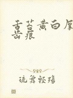 舌苔黄白厚腻有齿痕