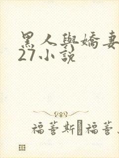 黑人与娇妻1～27小说
