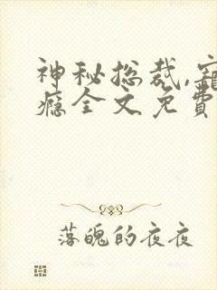 神秘总裁,宠上瘾全文免费阅读