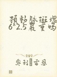 颈动脉斑块5.6*2.5严重吗