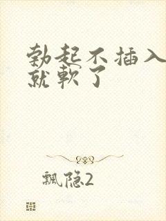 勃起不插入一会就软了