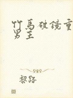 竹马破镜重圆双男主