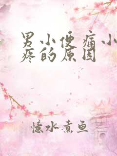 男小便痛小肚子疼的原因