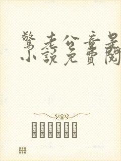 惊老公竟是首富小说免费阅读