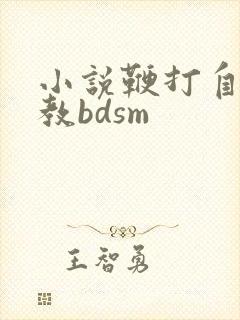 小说鞭打自愿调教bdsm
