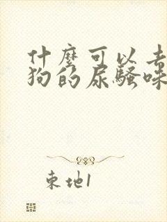 什么可以去除狗狗的尿骚味