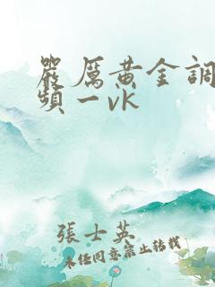 严厉黄金调教视频一vk