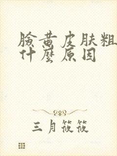 脸黄皮肤粗糙是什么原因