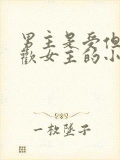 男主是受但是喜欢女主的小说