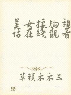 美女揉胸视频网站在线观看