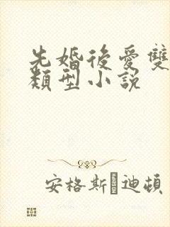 先婚后爱双男主类型小说