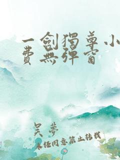 一剑独尊小说免费无弹窗