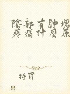 阴部有肿块按压疼痛什么原因