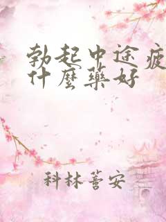 勃起中途疲软用什么药好