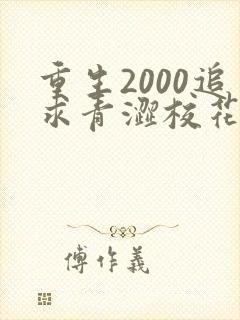 重生2000追求青涩校花同桌开始哪里有完结的