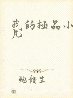 我的极品小姨叶凡